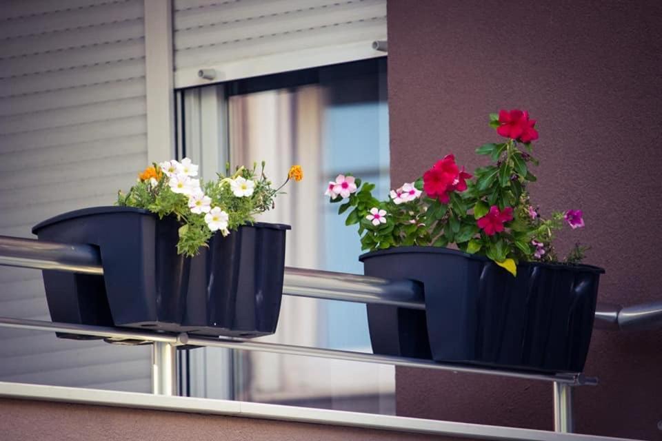 Apartments & Rooms Villa Zaad 모스타르 외부 사진